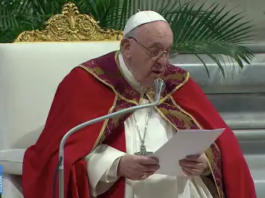 Hoy celebramos la Solemnidad de San Pedro y San Pablo, el día del Papa