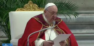 Hoy celebramos la Solemnidad de San Pedro y San Pablo, el día del Papa