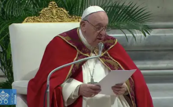 Hoy celebramos la Solemnidad de San Pedro y San Pablo, el día del Papa