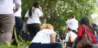 Siquiatra y sicóloga recomiendan cómo enfrentar el “shock” mental que viven los dominicanos por la violencia