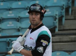 Cade Gotta reforzará a las Águilas Cibaeñas para la temporada 2022-2023