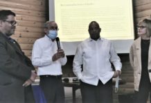 Prevalencia del consumo de alcohol durante la gestación es del 52 % en República Dominicana