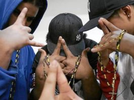 Cae en España una importante red de financiación de los Dominican Don’t Play