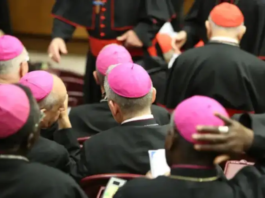 Obispo advierte que el Sínodo de la Sinodalidad no puede “inventar” la misión de la Iglesia