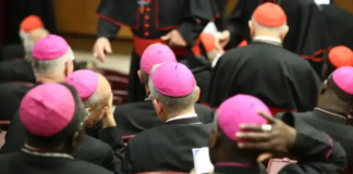 Obispo advierte que el Sínodo de la Sinodalidad no puede “inventar” la misión de la Iglesia