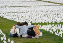 Retrocesos democráticos