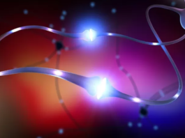 Cuáles son los beneficios del «ayuno de dopamina» y qué pasa en tu cerebro cuando te abstienes del exceso de placer