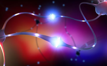 Cuáles son los beneficios del «ayuno de dopamina» y qué pasa en tu cerebro cuando te abstienes del exceso de placer