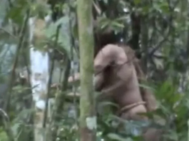 Muere en Brasil el «indígena del hoyo», que se resistió a cualquier contacto durante casi 30 años