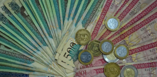 TSS devolverá dinero a trabajadores, verifica aquí cómo consultar si eres beneficiado