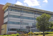 Medio Ambiente aclara que no ha confirmado la especie cuya picadura afectó a joven de provincia Valverde