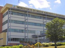 Medio Ambiente aclara que no ha confirmado la especie cuya picadura afectó a joven de provincia Valverde