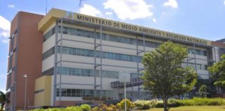 Medio Ambiente aclara que no ha confirmado la especie cuya picadura afectó a joven de provincia Valverde