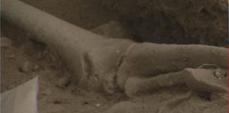 Hallazgo de restos en Samaná tiene más de 3,000 años consideran arqueólogos