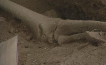 Hallazgo de restos en Samaná tiene más de 3,000 años consideran arqueólogos