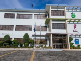 Presidente Abinader designa mediante decreto a Luisa Ysabel Ovando de Sánchez como presidenta ejecutiva del CONANI