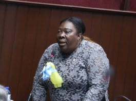 Diputada Dulce Rojas tiene buenas proyecciones y alto nivel de aceptación para repetir en el 2024: Aquí las diez razones