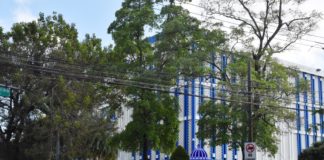 MESCyT impulsa reformas curriculares que adopten enfoque basado en competencias