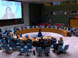 Consejo de Seguridad de la ONU está decidido a enfrentar violencia en Haití