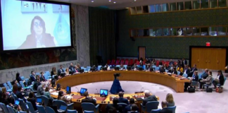 Consejo de Seguridad de la ONU está decidido a enfrentar violencia en Haití