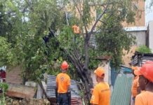 Banca y sector privado donan RD$260 MM a los afectados del huracán Fiona