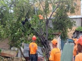 Banca y sector privado donan RD$260 MM a los afectados del huracán Fiona