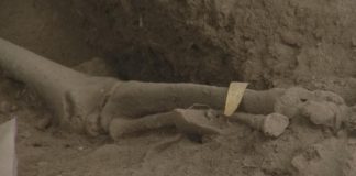 Hallazgo cementerio Samaná confirma isla Española estaba habitada