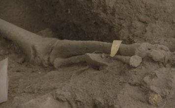 Hallazgo cementerio Samaná confirma isla Española estaba habitada