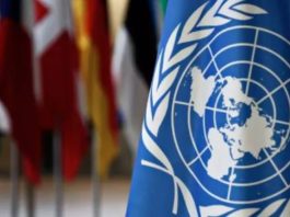 ONU advierte de que las olas de calor futuras «excederán los límites humanos y sociales»