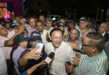 Primaria del PLD: elección de un candidato y radiografía electoral