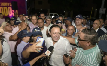 Primaria del PLD: elección de un candidato y radiografía electoral