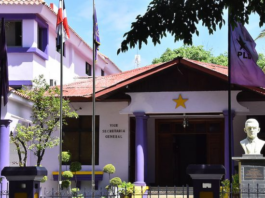 Los ojos de FP y PRM sobre el PLD y su consulta