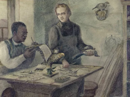 John Edmonstone, el esclavo liberado que le enseñó taxidermia a Darwin, un arte que abrió el camino para su teoría de la evolución