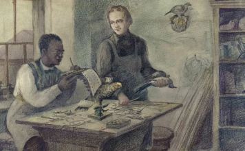 John Edmonstone, el esclavo liberado que le enseñó taxidermia a Darwin, un arte que abrió el camino para su teoría de la evolución