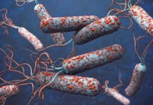 Salud Pública activa la alerta contra el cólera