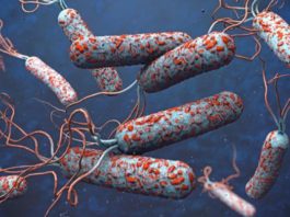 Salud Pública activa la alerta contra el cólera