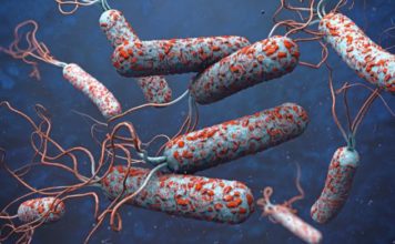 Salud Pública activa la alerta contra el cólera