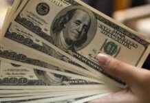 Florida: Adolescente robó a su abuela 13.500 dólares y los repartió en su escuela