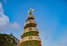 Banco Central enciende su árbol de Navidad