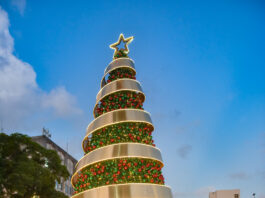 Banco Central enciende su árbol de Navidad