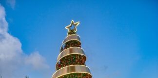 Banco Central enciende su árbol de Navidad