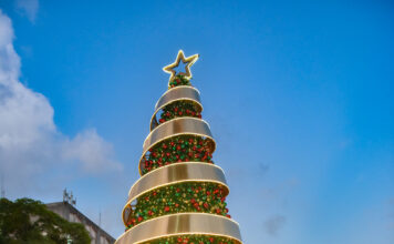 Banco Central enciende su árbol de Navidad