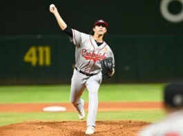 Leones vuelven a vencer al Licey