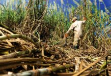 Advertencias de EE. UU. han sido frecuentes durante años