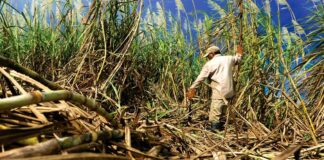 Advertencias de EE. UU. han sido frecuentes durante años