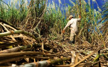 Advertencias de EE. UU. han sido frecuentes durante años
