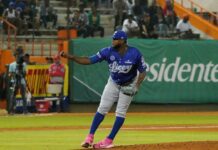 Licey lanza histórico No Hitter a los Toros en su casa