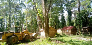 Medio Ambiente recupera margen del río Yuna