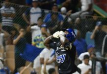 Mauricio se crece en victoria del Licey ante las Estrellas