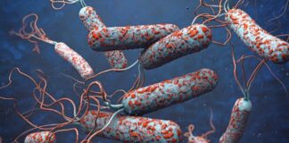 Población alerta ante posible extensión del cólera